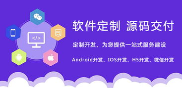 成都軟件開發公司怎么選擇